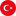 Türkçe